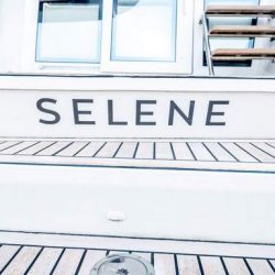 Selene Cockpit (1)